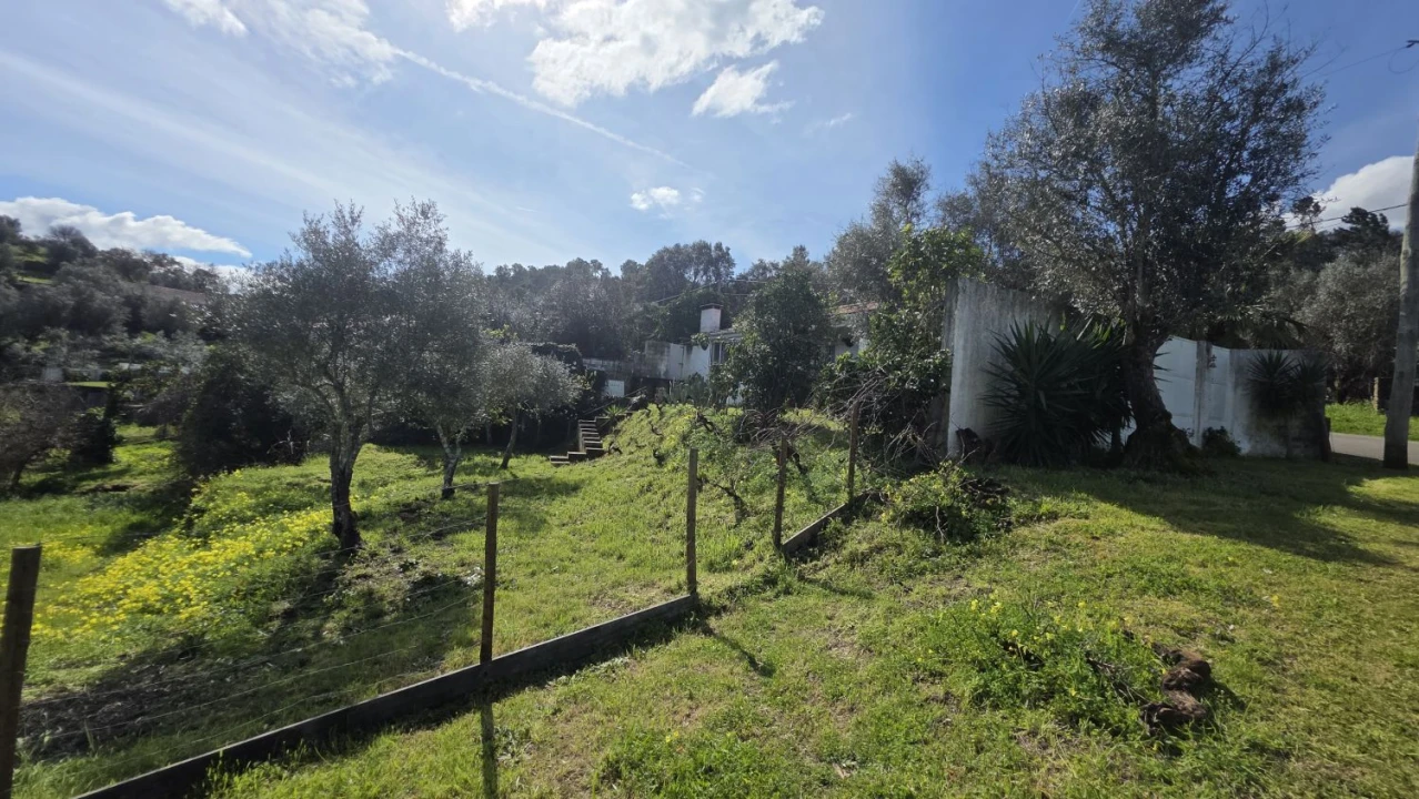 Moradia T3 para Venda em Serra e Junceira Foto 25