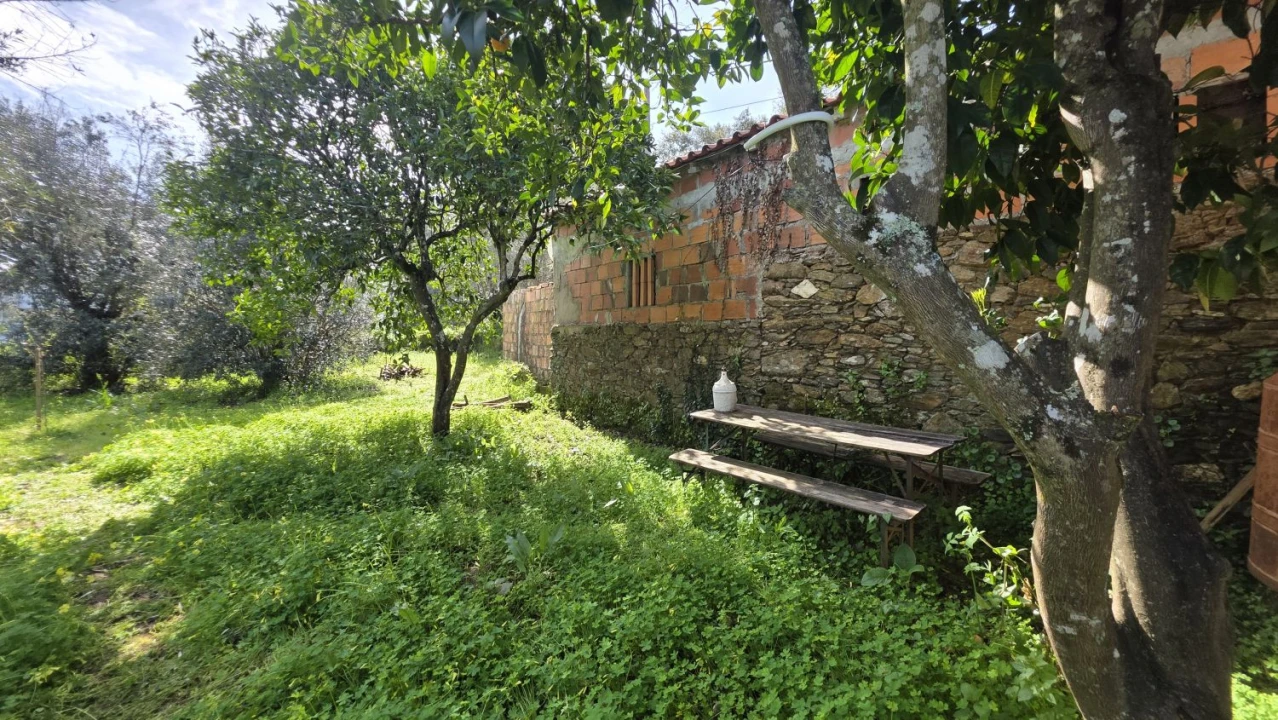 Moradia T3 para Venda em Serra e Junceira Foto 18