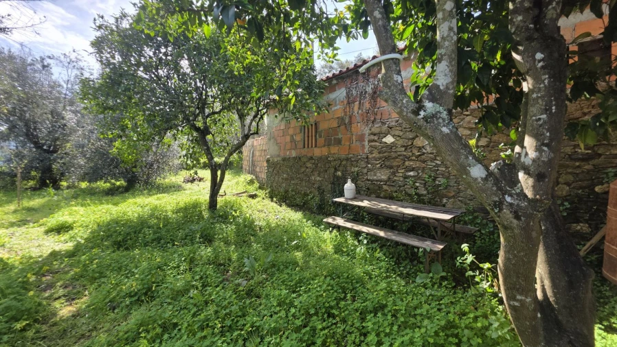 Moradia T3 para Venda em Serra e Junceira Foto 18