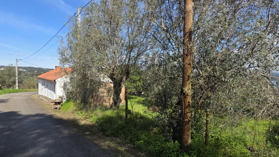 Moradia T3 para Venda em Serra e Junceira Foto 4