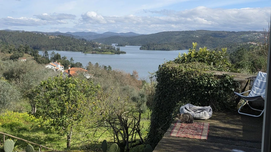 Moradia T3 para Venda em Serra e Junceira Foto 12