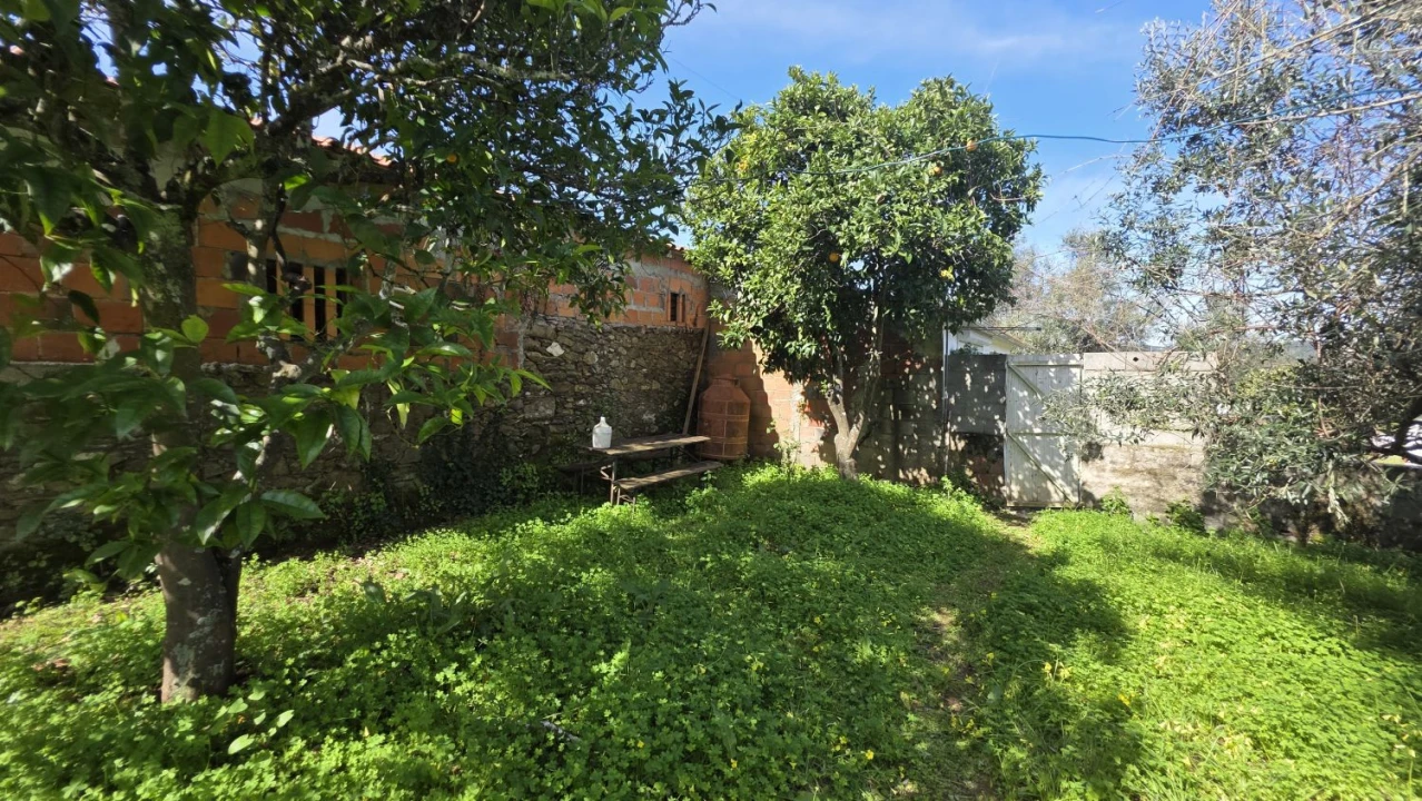 Moradia T3 para Venda em Serra e Junceira Foto 21