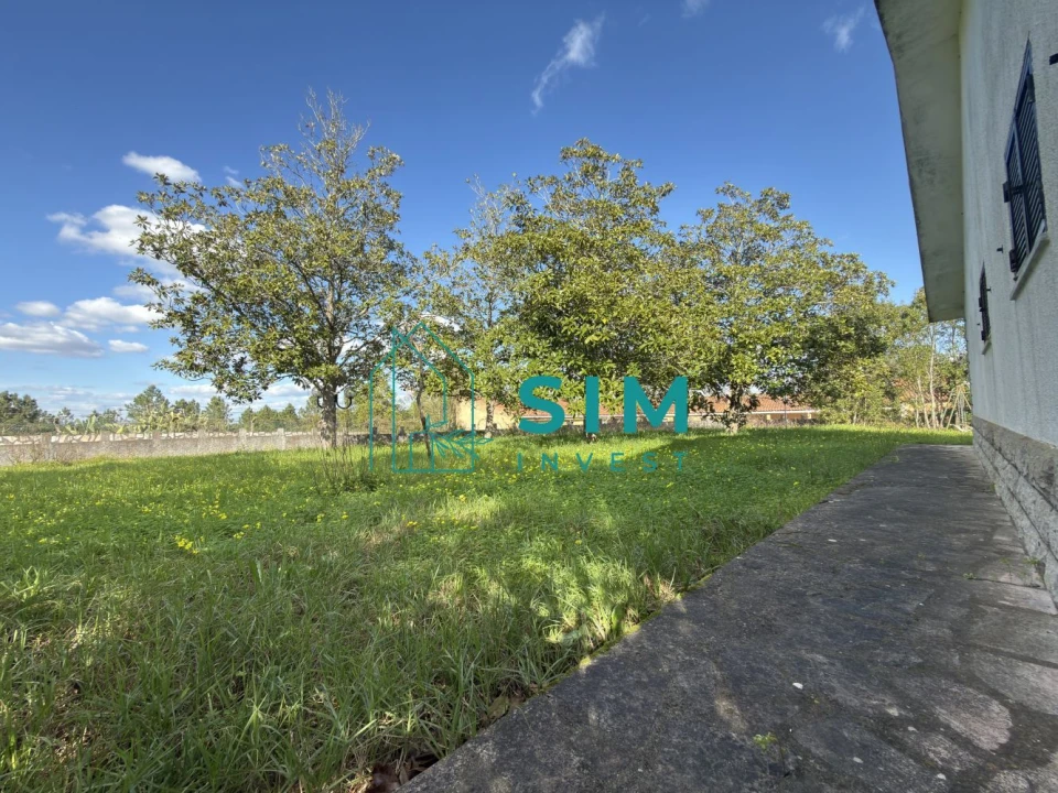 Quinta T10 para Venda em Vendas Novas Foto 38