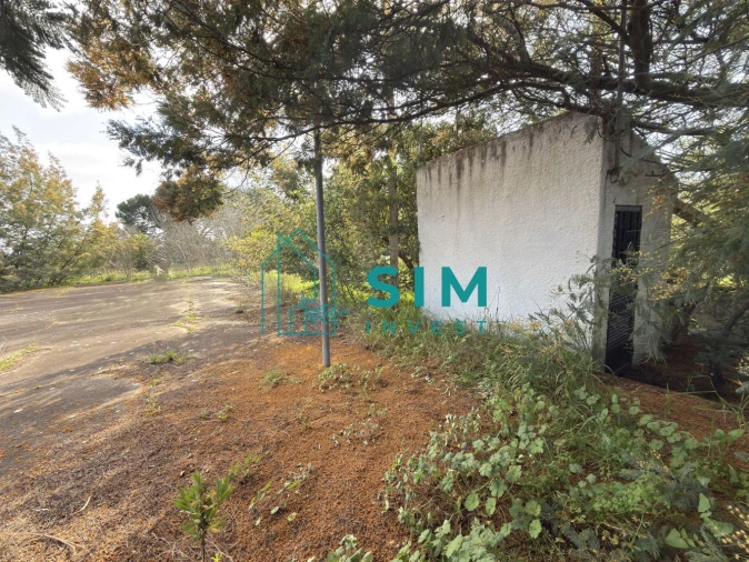 Quinta T10 para Venda em Vendas Novas Foto 43