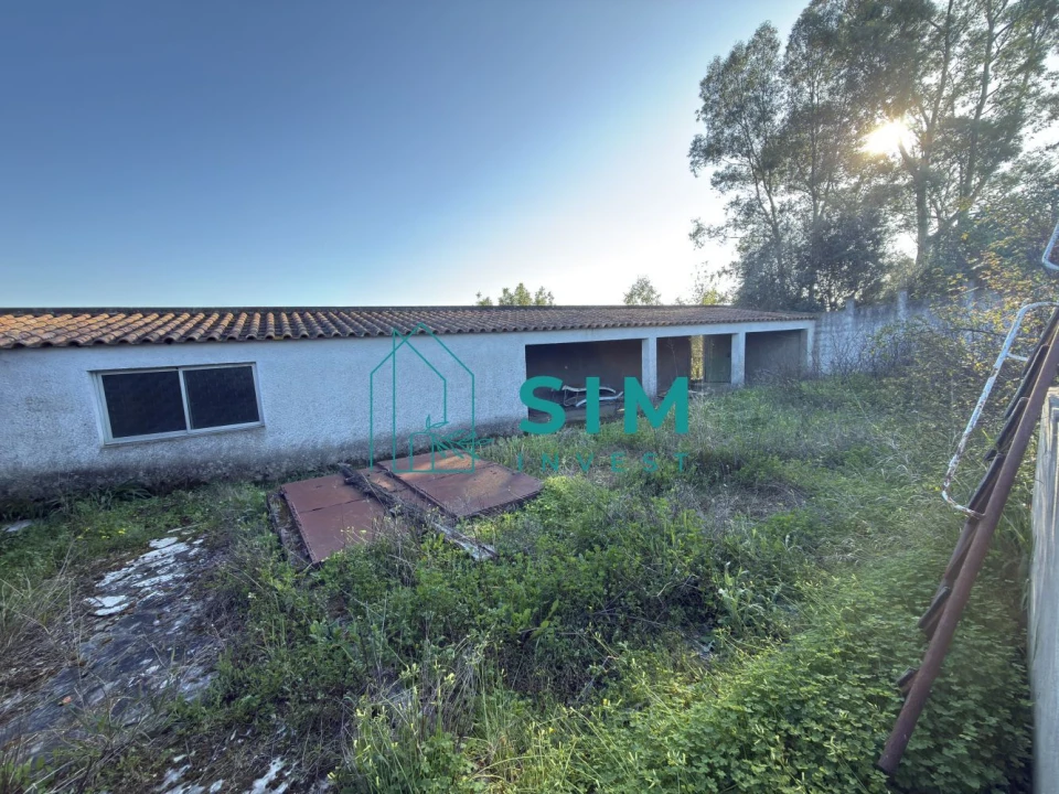 Quinta T10 para Venda em Vendas Novas Foto 52