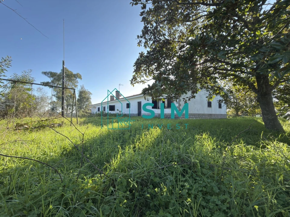 Quinta T10 para Venda em Vendas Novas Foto 41