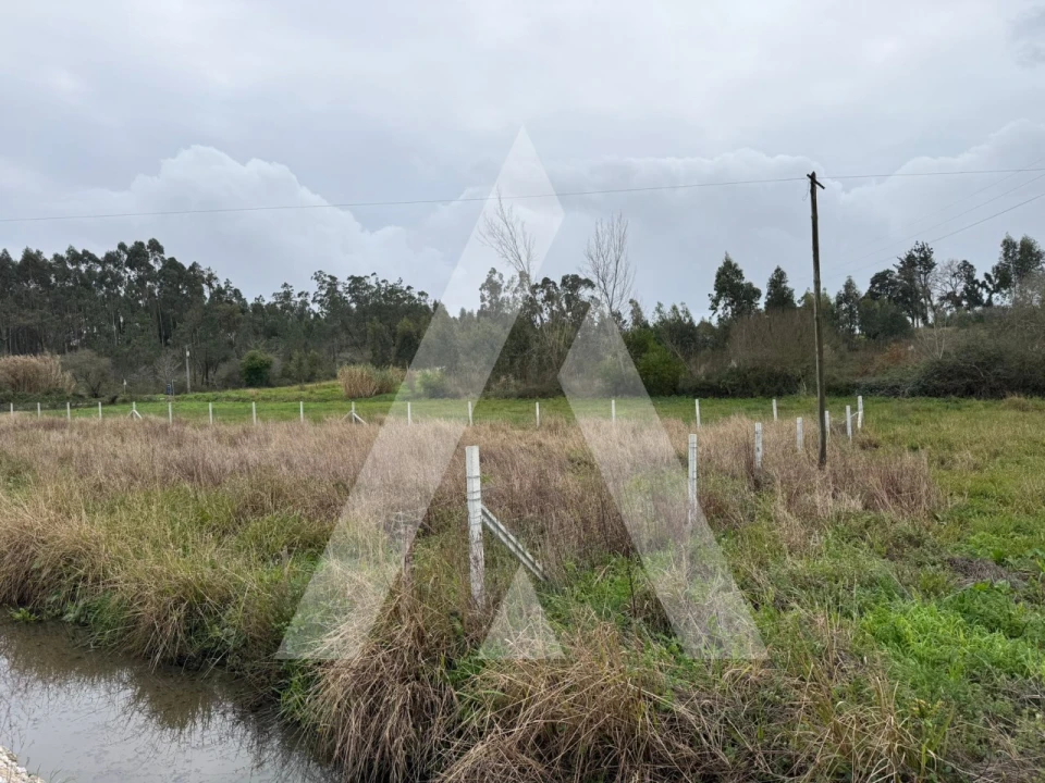 Terreno para Venda em Aradas Foto 7