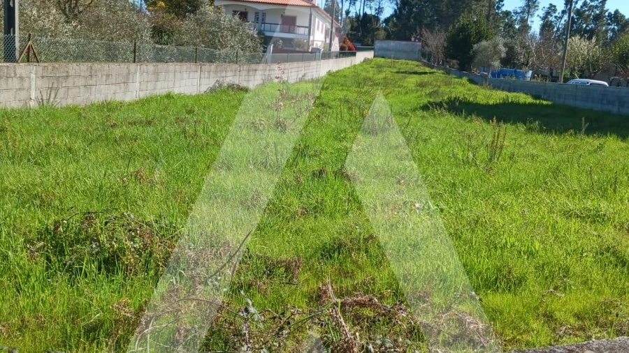 Terreno para Venda em São João de Lourosa