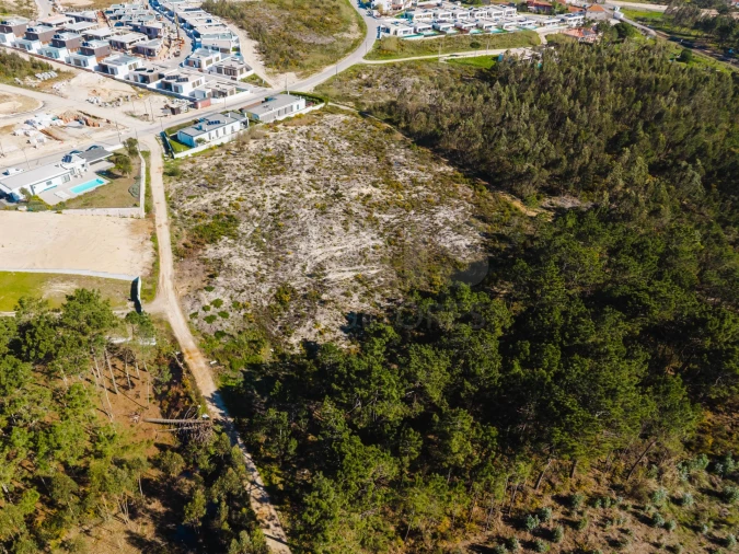 Terreno para Venda em Tornada e Salir do Porto Foto 2