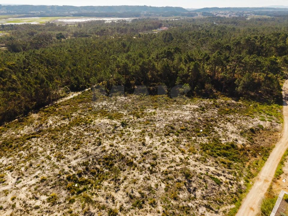 Terreno para Venda em Tornada e Salir do Porto Foto 4