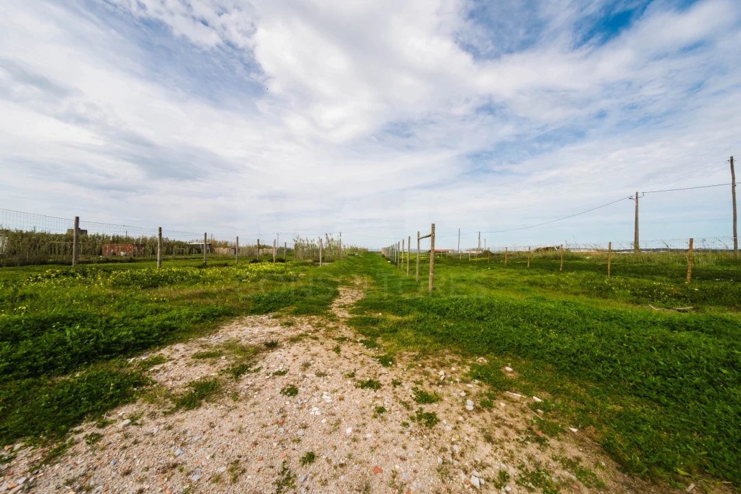 Loja para Venda em Ferrel Foto 9