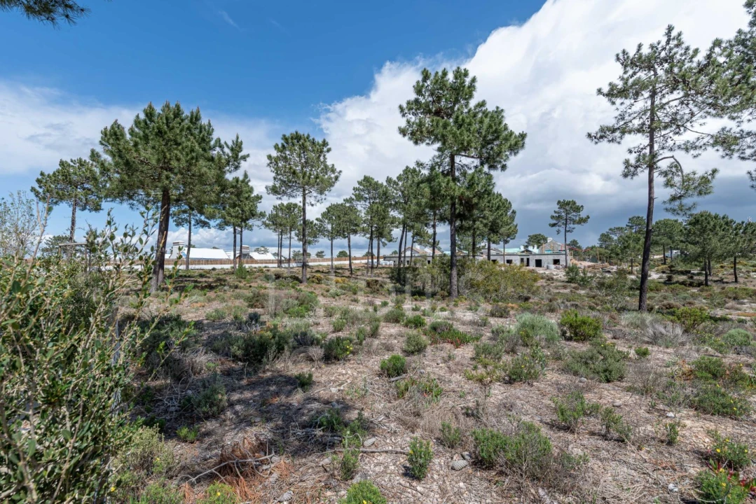 Terreno para Venda em Comporta Foto 4