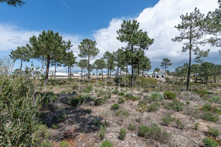 Terreno para Venda em Comporta Foto 4