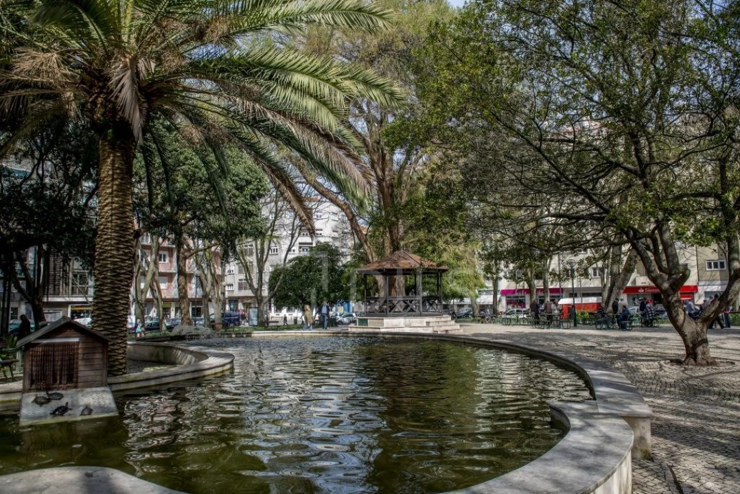 Loja para Arrendamento em Campo de Ourique Foto 6