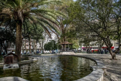 Loja para Arrendamento em Campo de Ourique