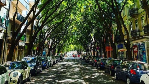 Loja para Arrendamento em Campo de Ourique