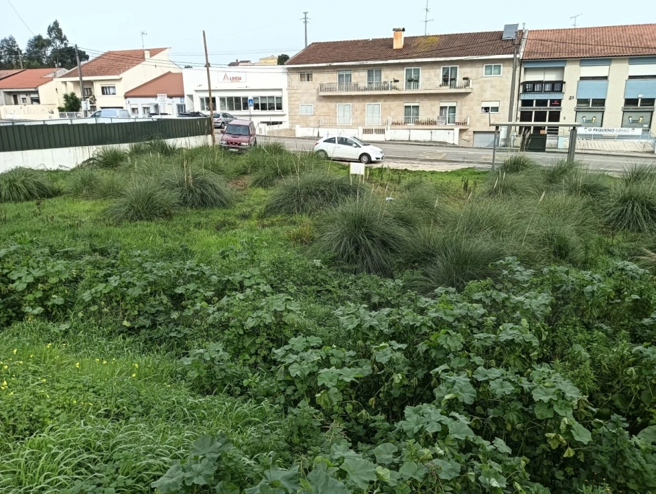 Terreno para Venda em Eixo e Eirol Foto 19