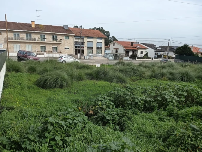Terreno para Venda em Eixo e Eirol Foto 4