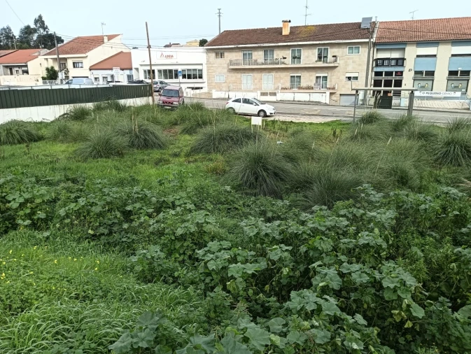 Terreno para Venda em Eixo e Eirol Foto 15