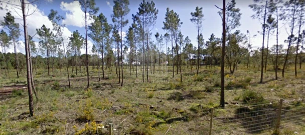 Terreno para Venda em Sesimbra (Castelo)
