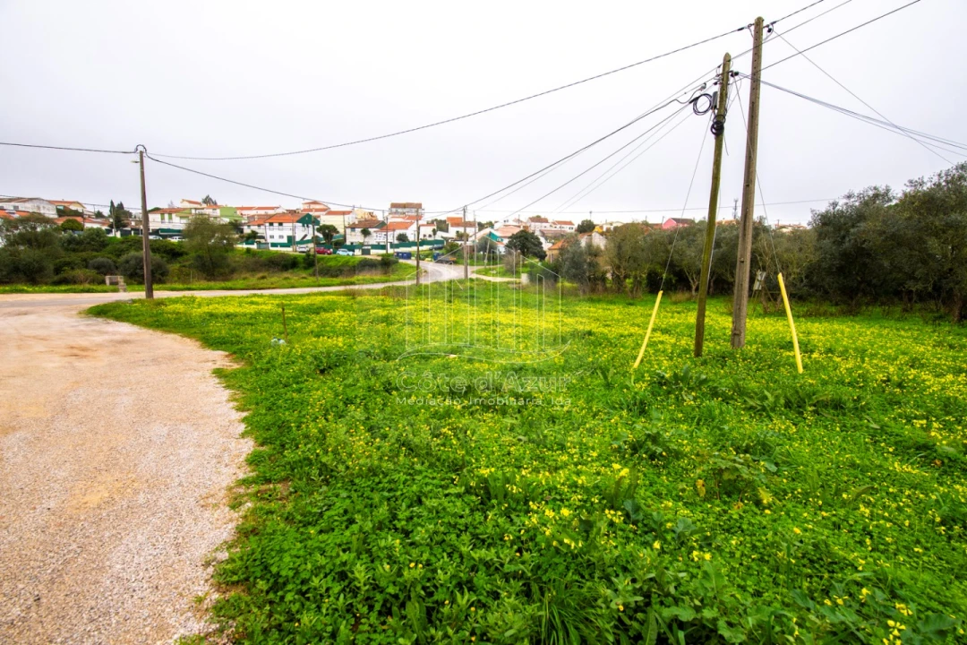 Terreno para Venda em Sesimbra (Castelo) Foto 5