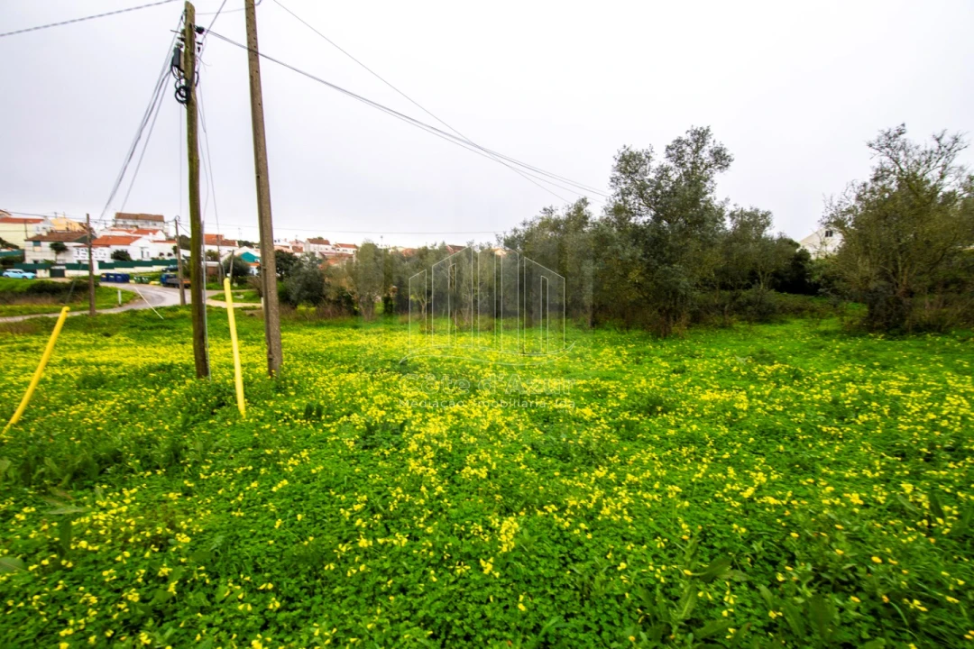 Terreno para Venda em Sesimbra (Castelo) Foto 7
