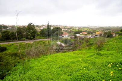 Terreno para Venda em Sesimbra (Castelo)