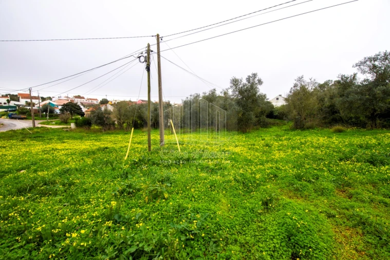Terreno para Venda em Sesimbra (Castelo) Foto 6