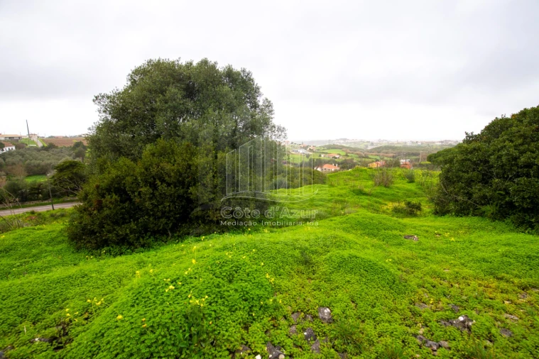 Terreno para Venda em Sesimbra (Castelo) Foto 10