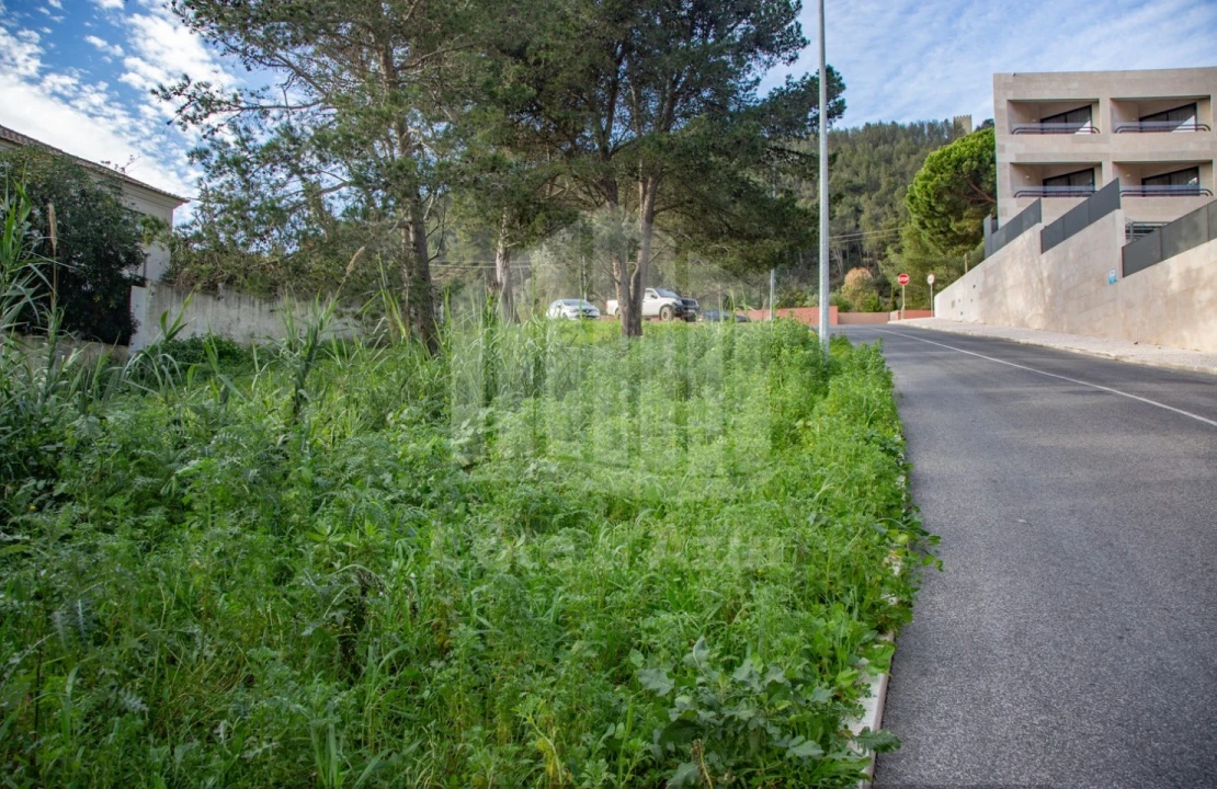 Terreno para Venda em Sesimbra (Santiago) Foto 7