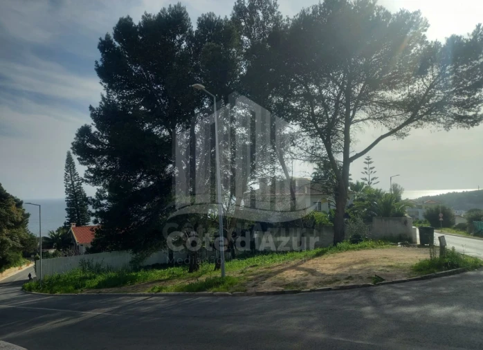 Terreno para Venda em Sesimbra (Santiago) Foto 12