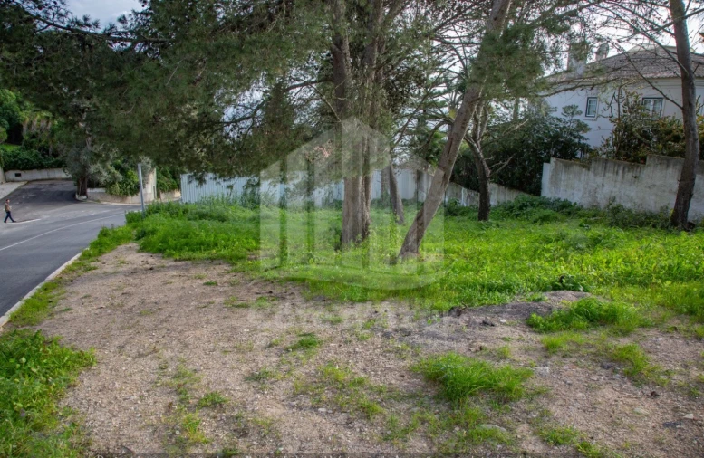 Terreno para Venda em Sesimbra (Santiago) Foto 9