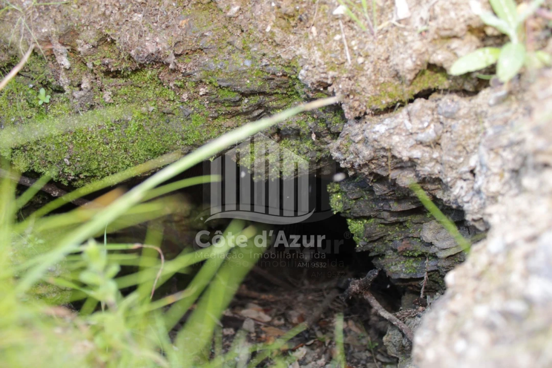 Terreno para Venda em Saboia Foto 2