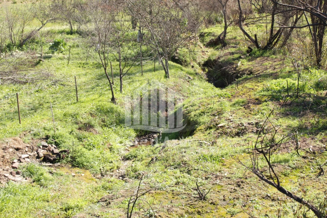 Terreno para Venda em Saboia Foto 7