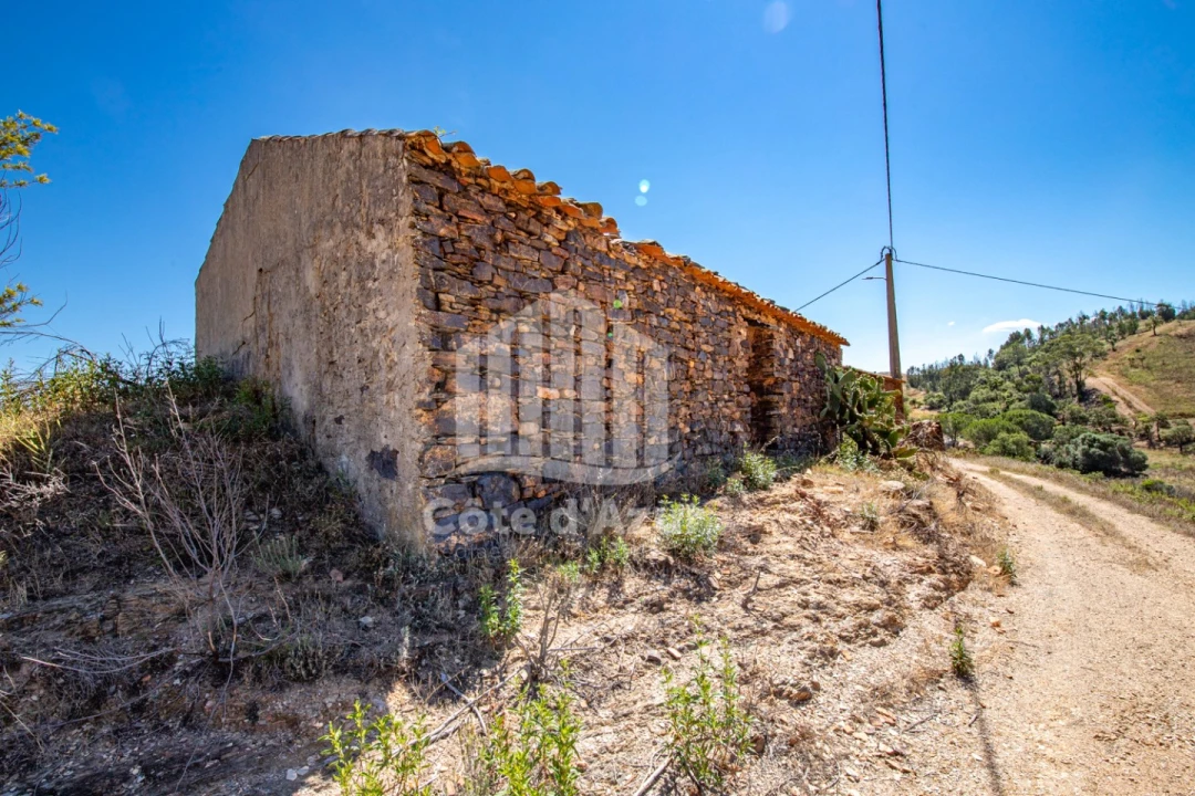 Terreno para Venda em Saboia Foto 18