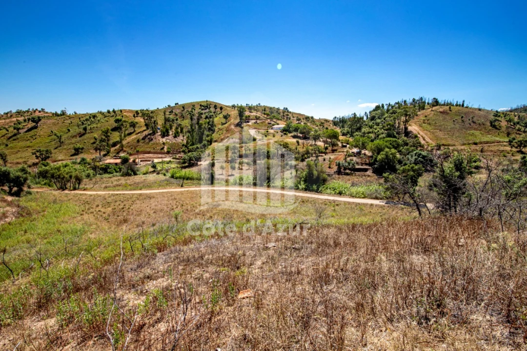 Terreno para Venda em Saboia Foto 22