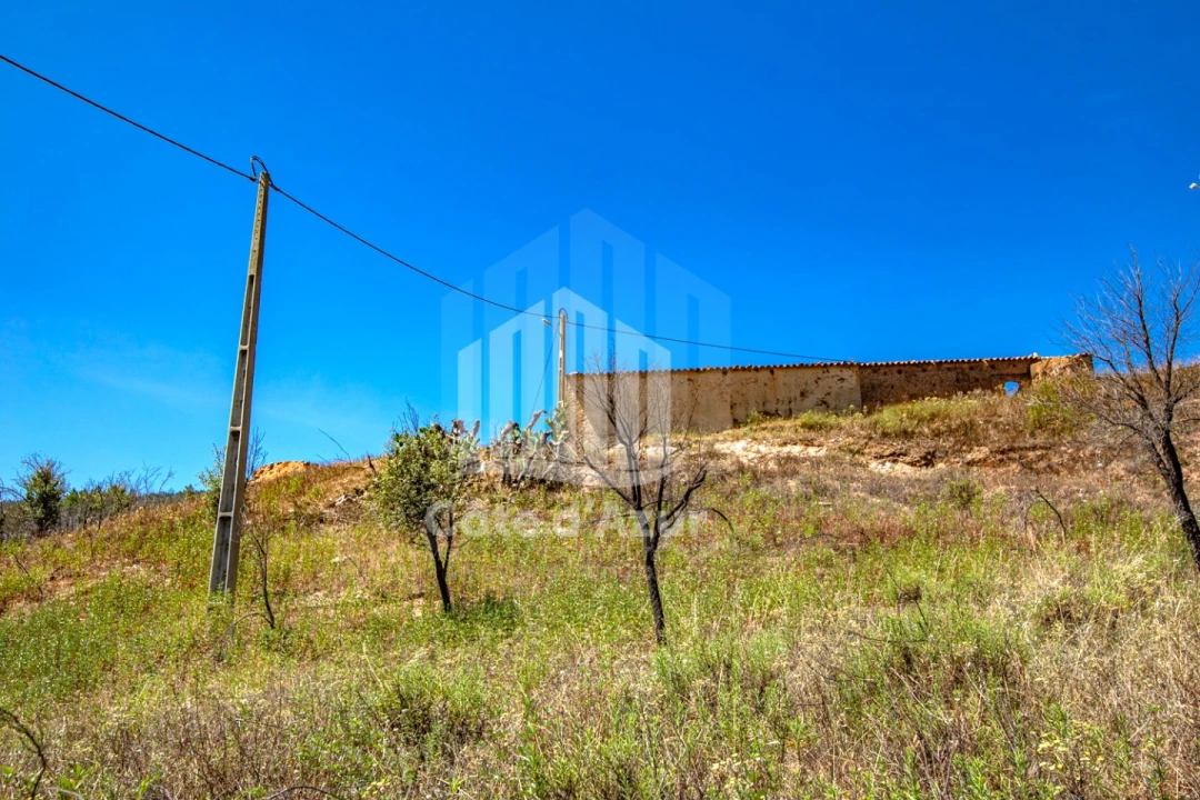 Terreno para Venda em Saboia Foto 26