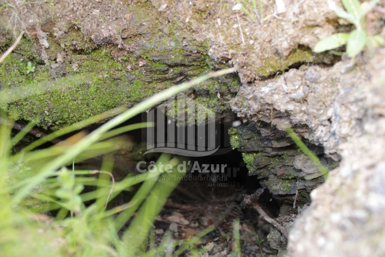 Terreno para Venda em Saboia Foto 2