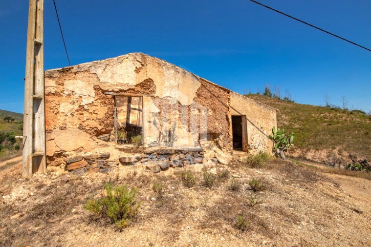 Terreno para Venda em Saboia Foto 11