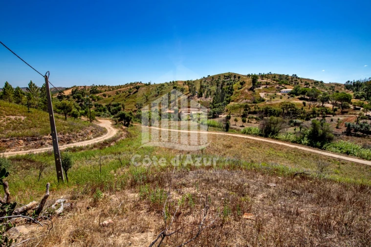 Terreno para Venda em Saboia Foto 14