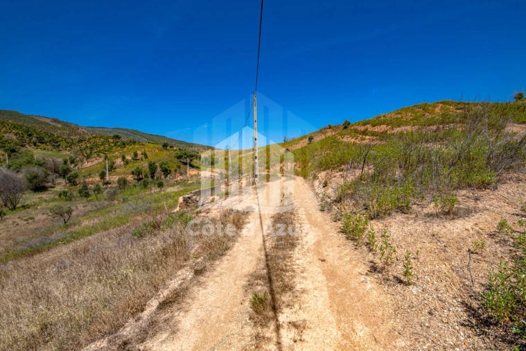 Terreno para Venda em Saboia Foto 16