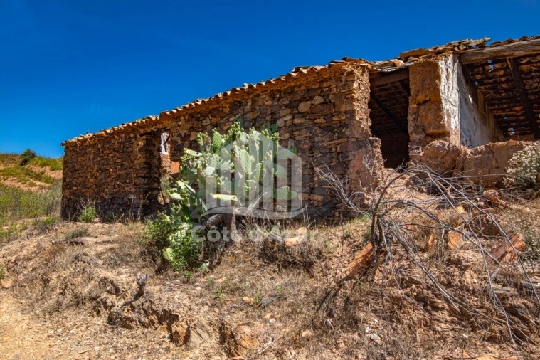 Terreno para Venda em Saboia Foto 17