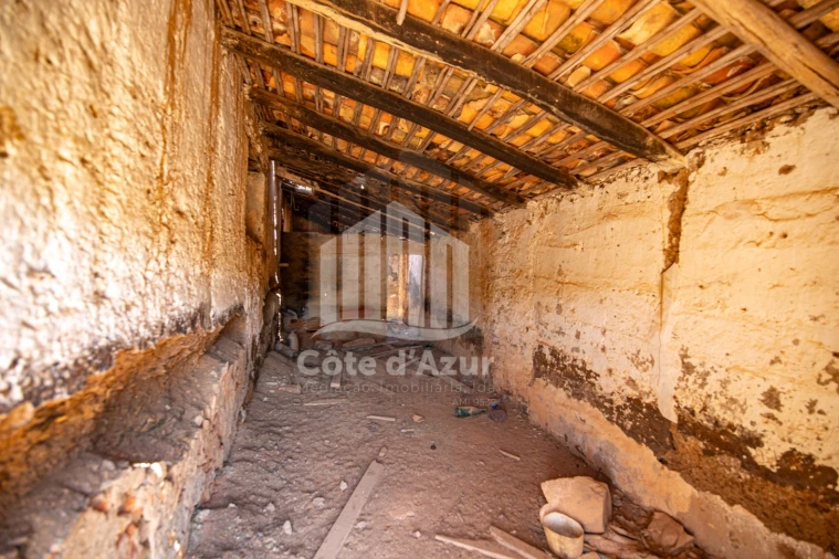 Terreno para Venda em Saboia Foto 23