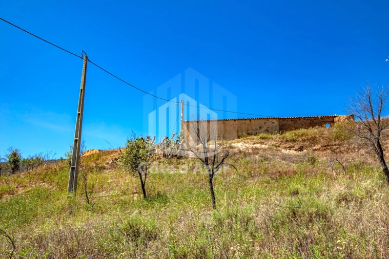 Terreno para Venda em Saboia Foto 26