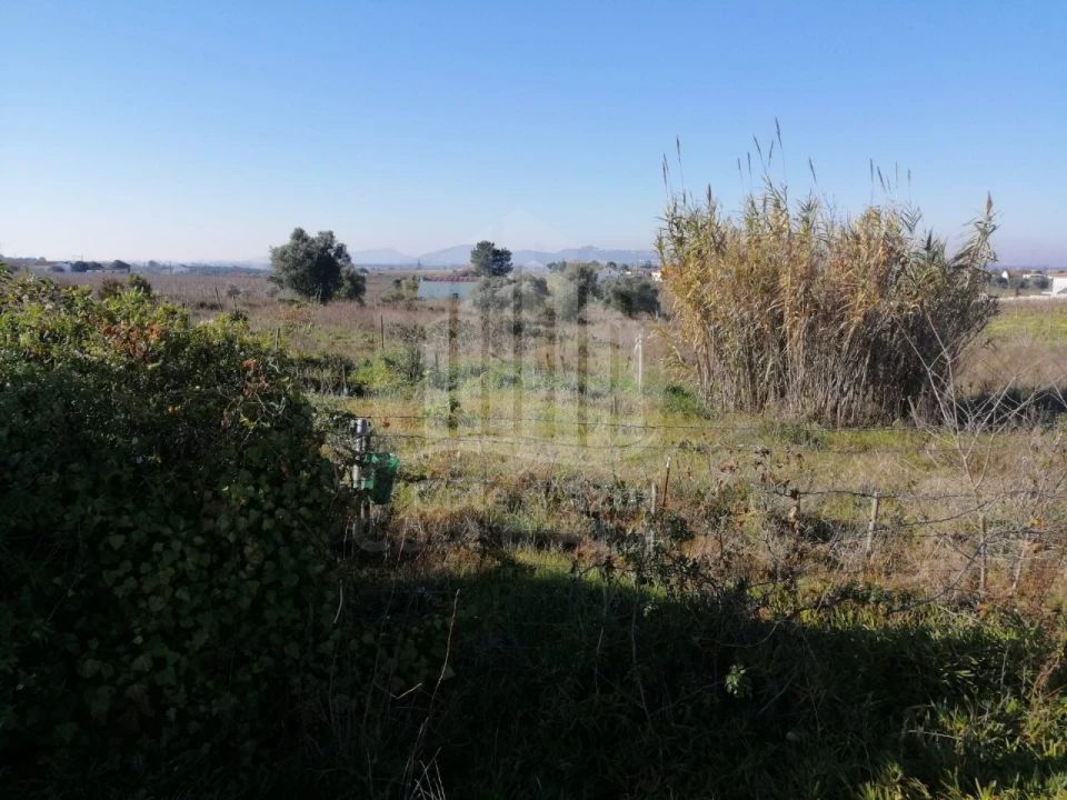 Terreno para Venda em Poceirão e Marateca Foto 9