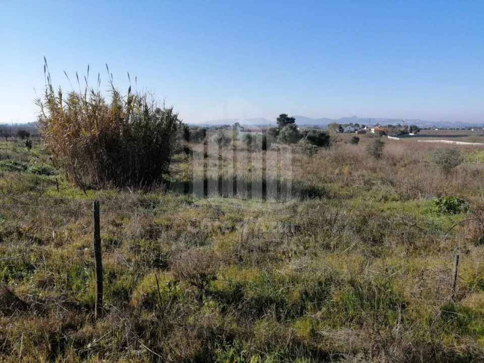 Terreno para Venda em Poceirão e Marateca Foto 1