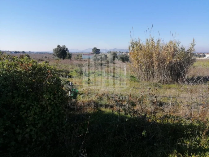Terreno para Venda em Poceirão e Marateca Foto 9