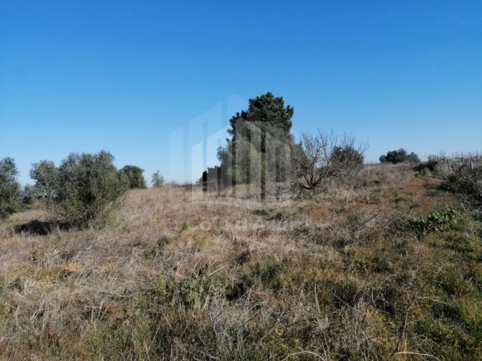 Terreno para Venda em Poceirão e Marateca Foto 12