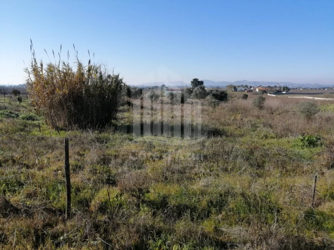 Terreno para Venda em Poceirão e Marateca Foto 1