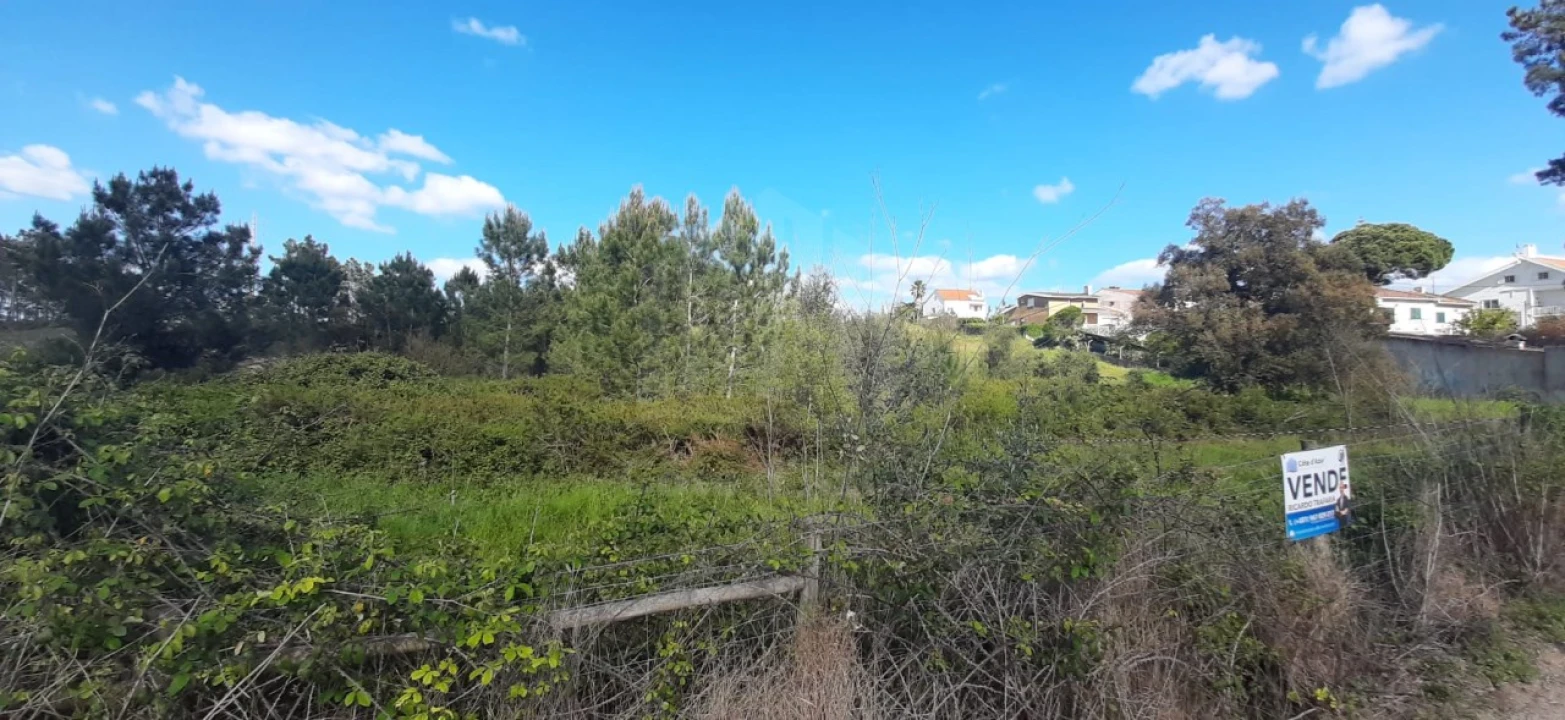 Terreno para Venda em Sesimbra (Castelo) Foto 5
